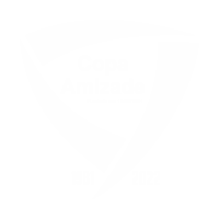 icone-copa-amizade-200x200-branco.png