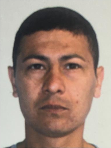 Everton do Espírito Santo Lopes